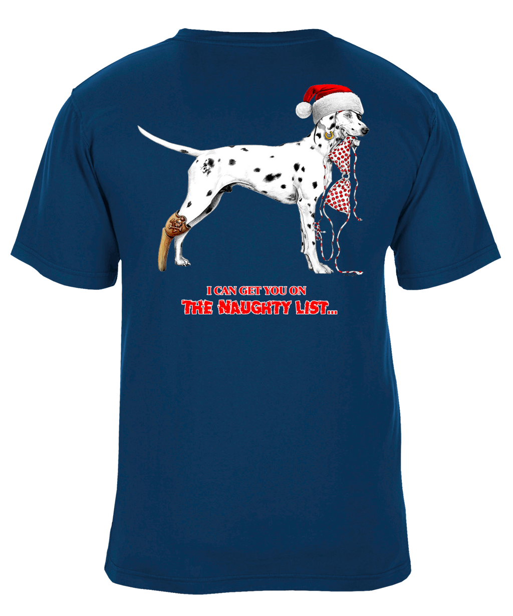 I Can Get You on the Naughty List Funny Christmas Holiday Dog Santa Hat Graphic T-Shirt