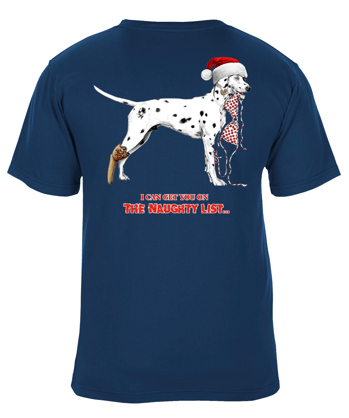 I Can Get You on the Naughty List Funny Christmas Holiday Dog Santa Hat Graphic T-Shirt