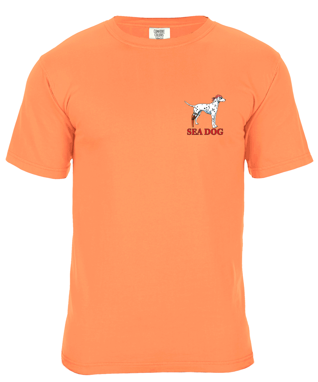 Stay Salty Y'all Beach Graphic T-Shirt - Available in 3 Colors