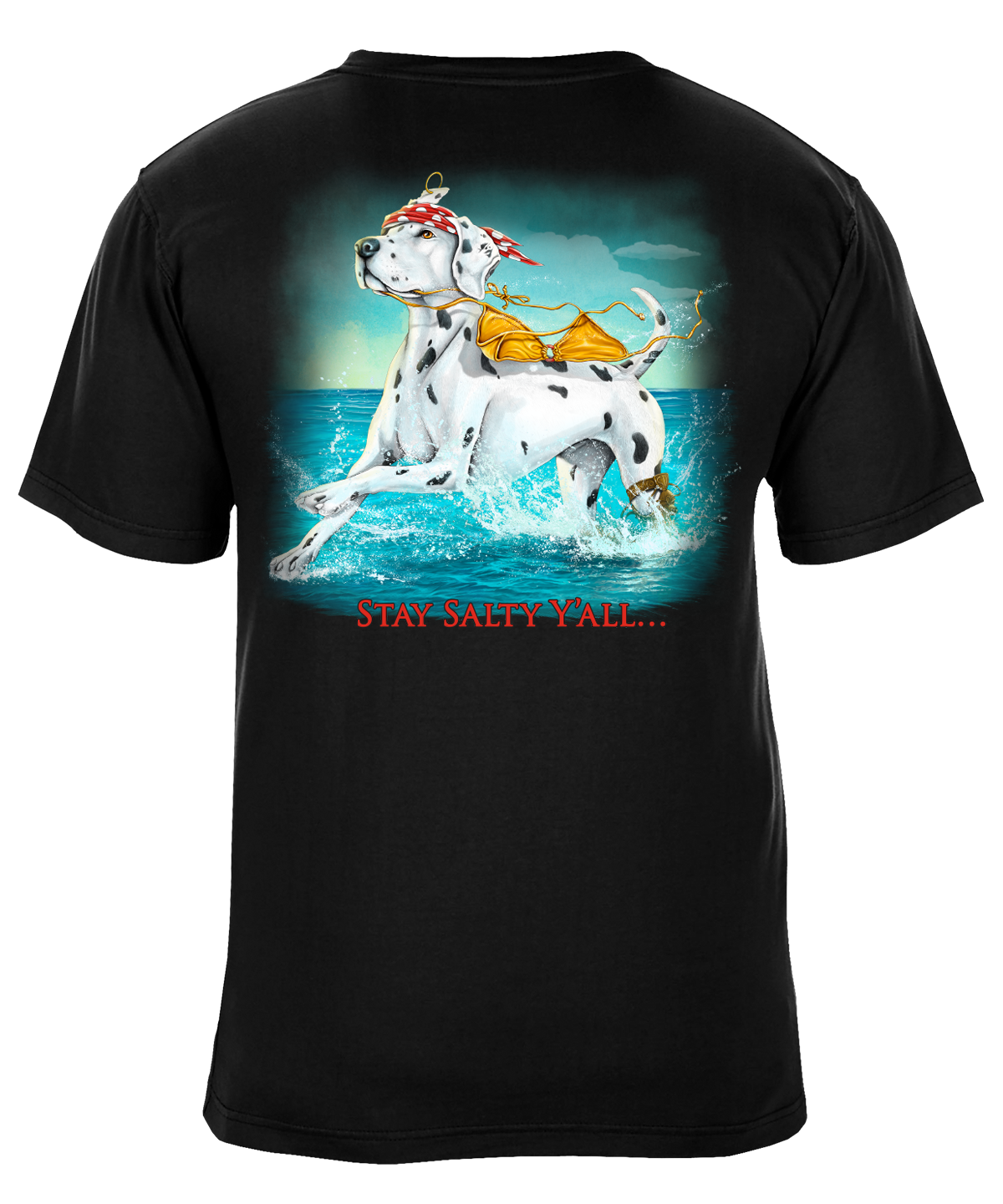 Stay Salty Y'all Beach Graphic T-Shirt - Available in 3 Colors