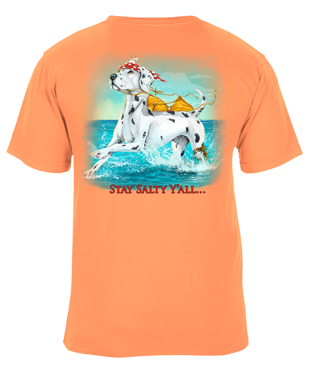 Stay Salty Y'all Beach Graphic T-Shirt - Available in 3 Colors