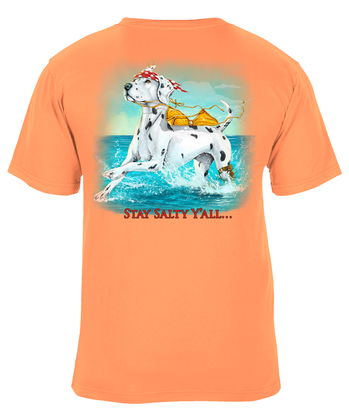 Stay Salty Y'all Beach Graphic T-Shirt - Available in 3 Colors