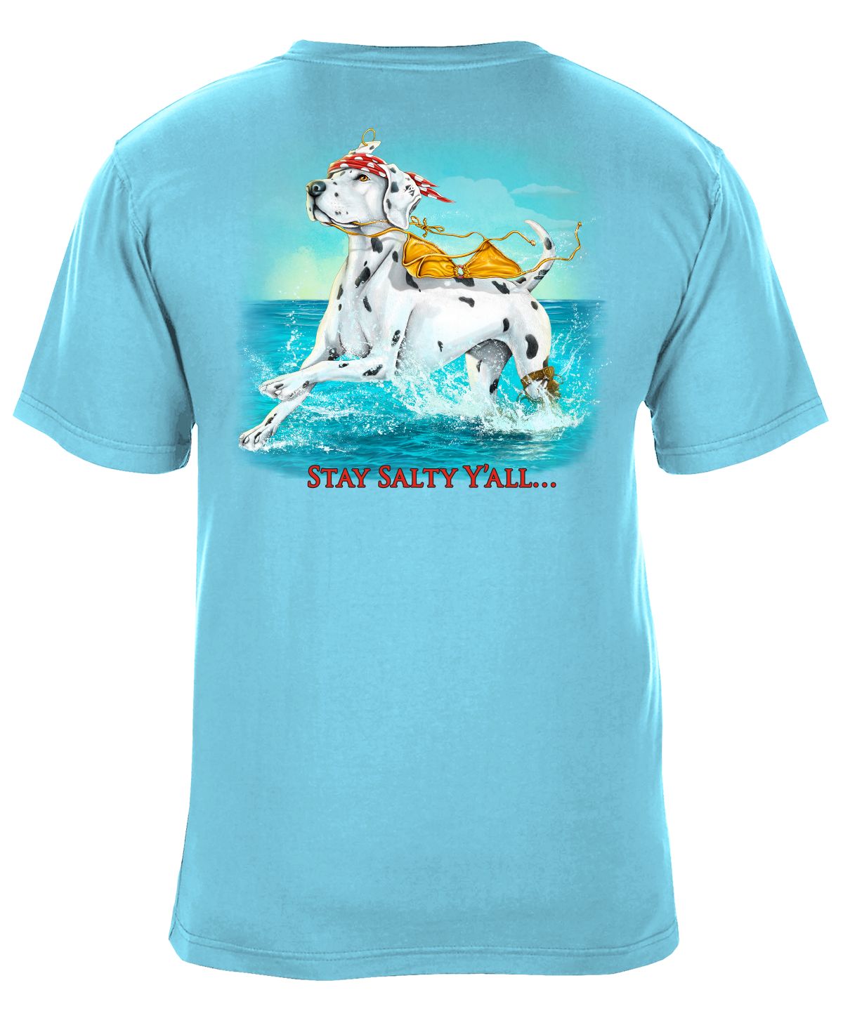 Stay Salty Y'all Beach Graphic T-Shirt - Available in 3 Colors