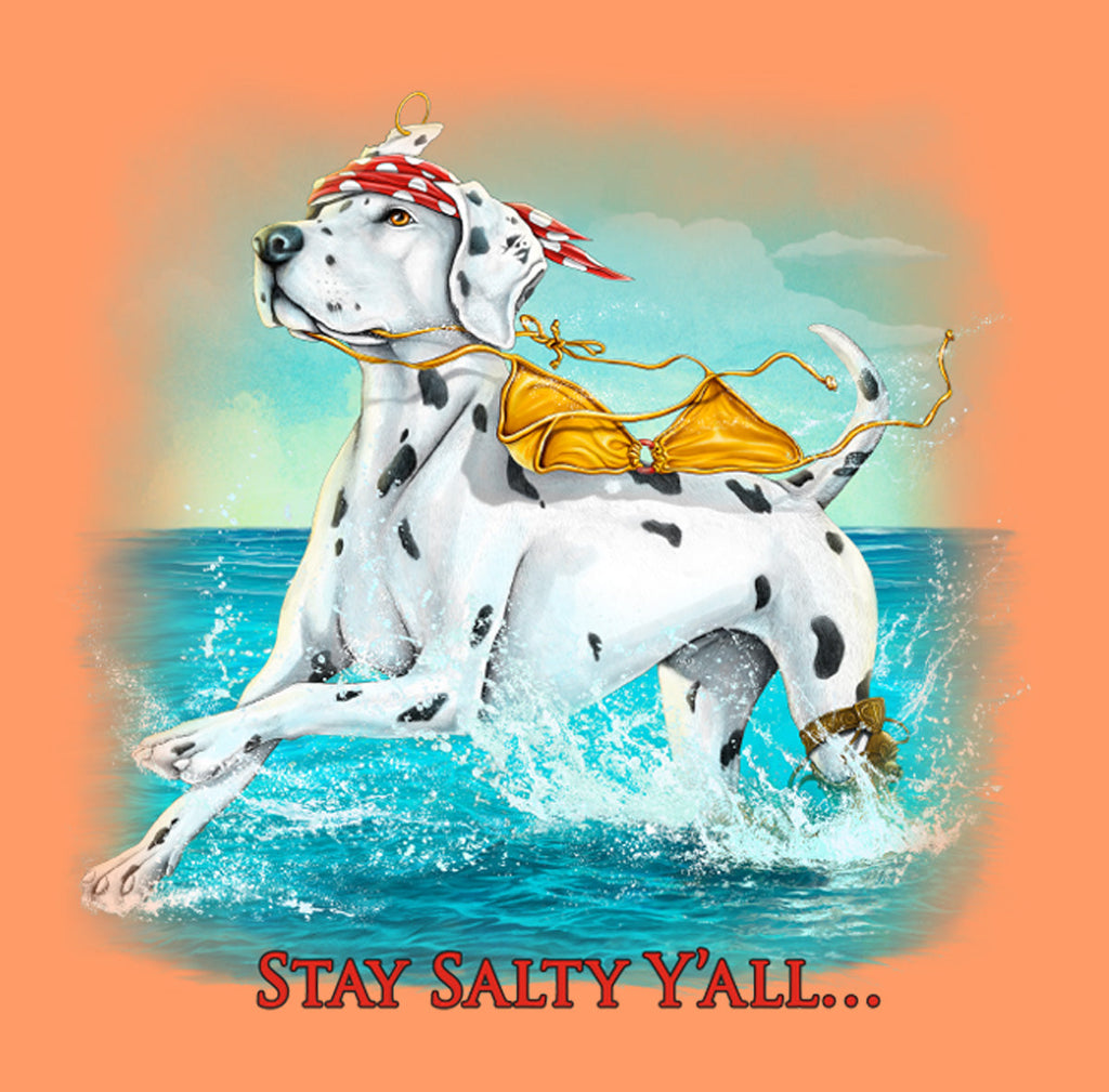 Stay Salty Y'all Beach Graphic T-Shirt - Available in 3 Colors